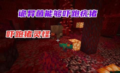  物品@我的世界：1.16中你不一定知道的新特性和新物品