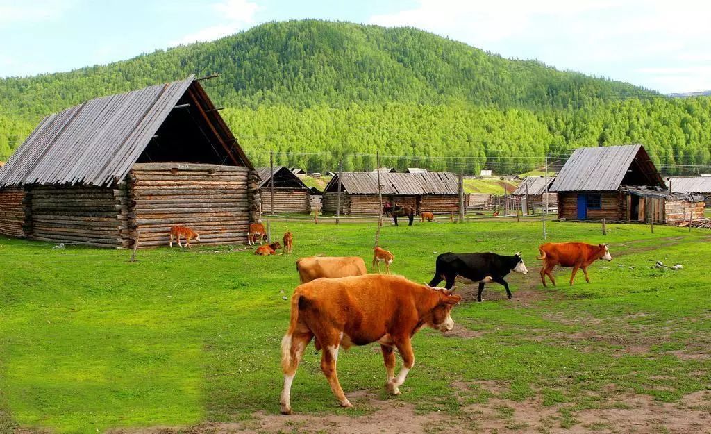 九月的新疆逼疯摄影师，勾走了你的魂
