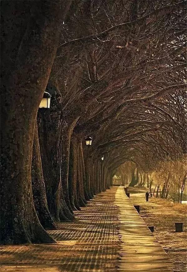 精选一组罕见大图；人类在地球上创造的奇迹