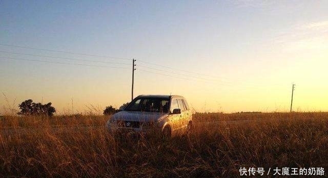  『黄金河虎』钓鱼在阿根廷食人鱼泛滥成灾，味道竟如此鲜美！