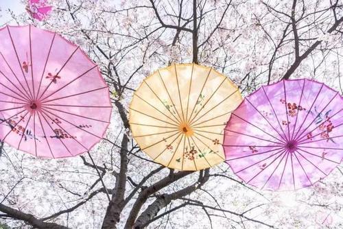 再过一个月，这些地方就美成仙境了！