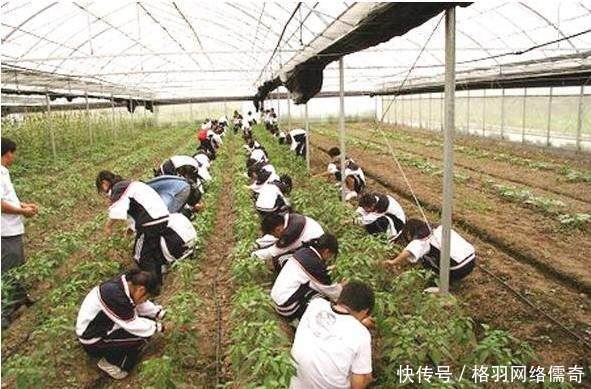 农村里从事这六种工作的人都发了大财，经济条件比城里人好多了!