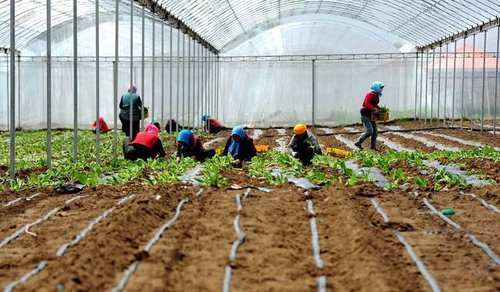 农村有四个新职业，3年后将会吃香，农民不必外出打工都能挣钱