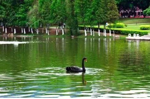 厦门大学旅游攻略！来厦门游玩不可不去的地方！