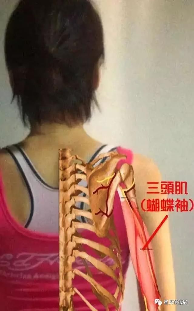 当杨幂范冰冰刘亦菲撞上同一个身材bug 极度血腥