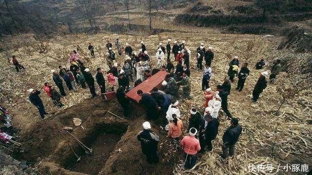 农村5大新“怪象”, 农民深受其害, 尤其最后一个, 专家也难解释