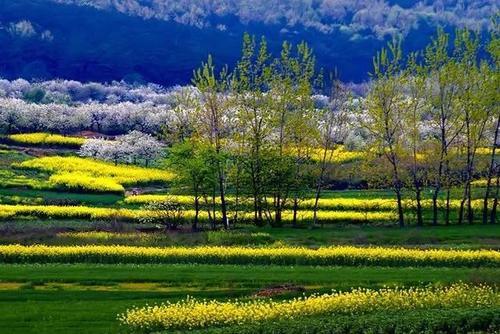 说到安徽的春天第一时间大多想到婺源，其实这十个地方更值得你去