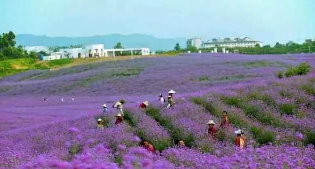 成都出发坐高铁/动车1小时直达!这15个短途旅行圣地等你去打卡(