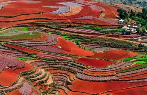 此生必去5处云南景点，个个风景如画，去过3处算我输