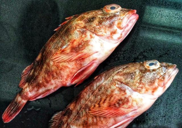  [好坏]海鱼看起来都差不多，该如何分好坏谨记4技巧避坑，鱼贩行家！