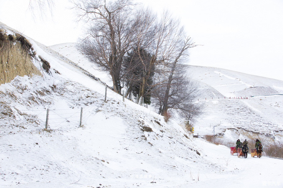 冬季新疆那拉提玩雪全攻略,水墨雪域画中游