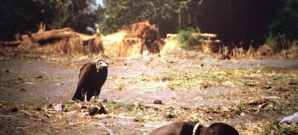 悲哀的摄影师与流氓摄影人