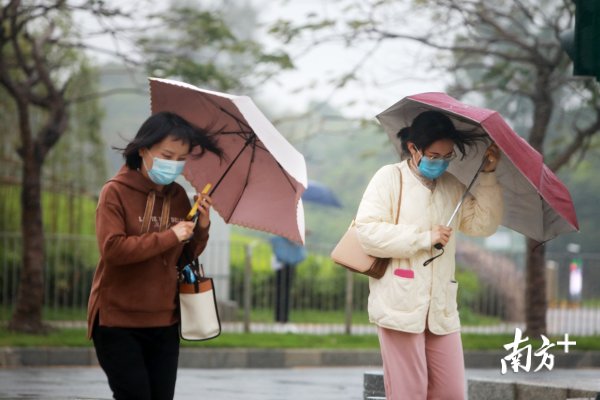  「图集」图集｜能见度2公里以下，深圳晚高峰迎来雨雾天气