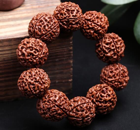 闻名世界“五大名木”，第3个绝世惊艳无坚不摧，限制国外人想象