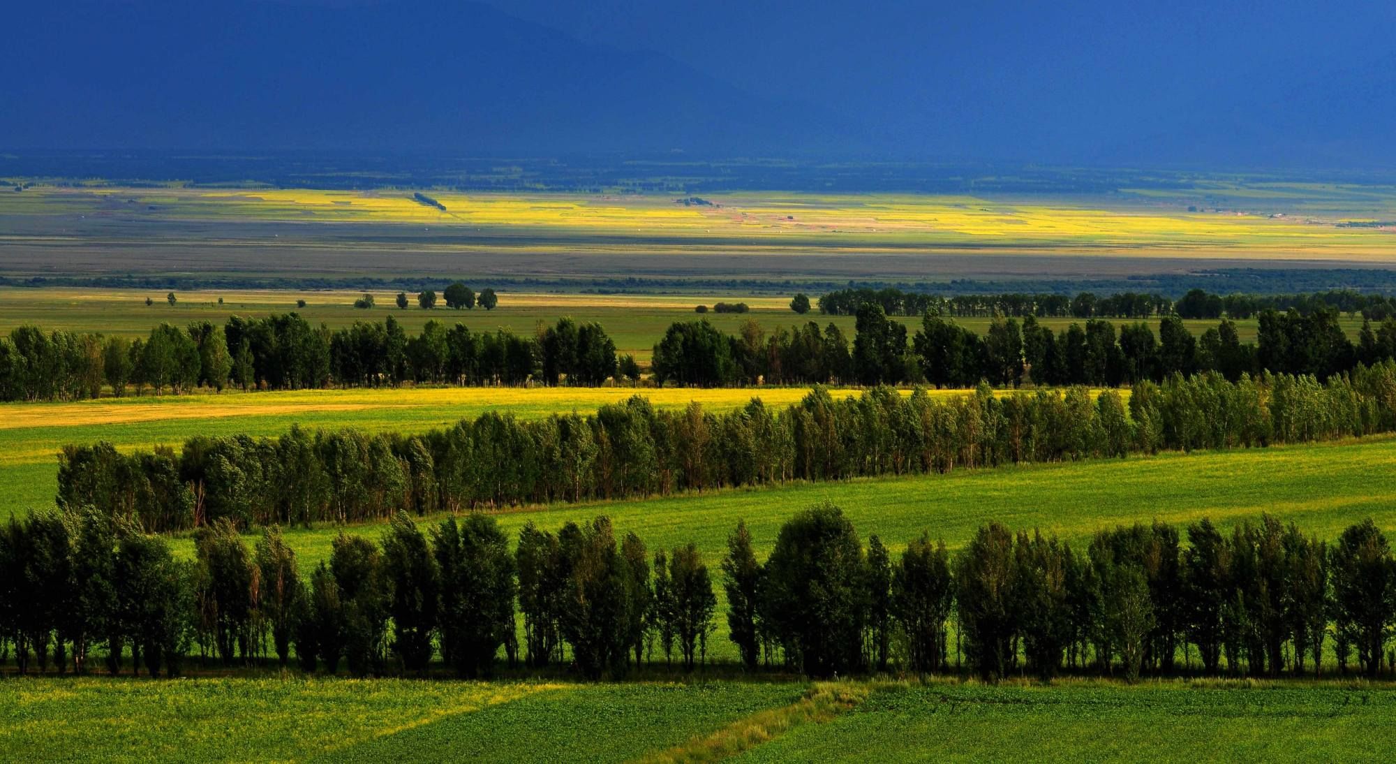 新疆唯一没有荒漠的县 被称为中国天马之乡 风景优美 却少有人知