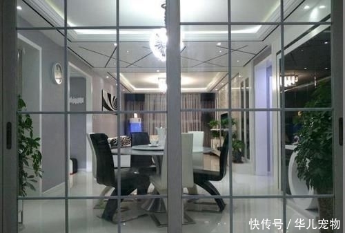  #值钱#院子里，若是见到1种“虎耳草”，要保护它，比岩黄连值钱