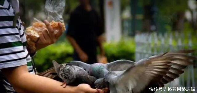 去泰国旅游的8大禁忌，第五条很多游客都犯过，不看后果很严重