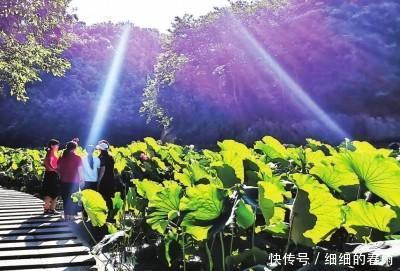 广元避暑胜地，让你清凉一夏