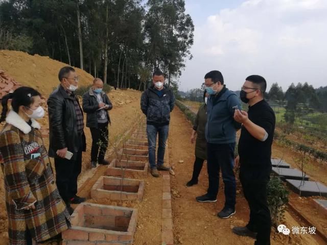  「次性奖补」简办“身后事” 今年东坡区将建成8个农村公益性墓地