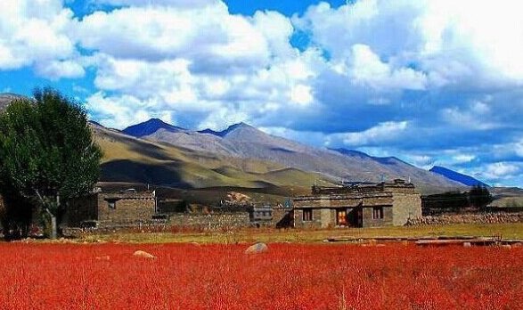 12星座专属“国内度假胜地”巨蟹座美丽香格里拉，射手座大草原