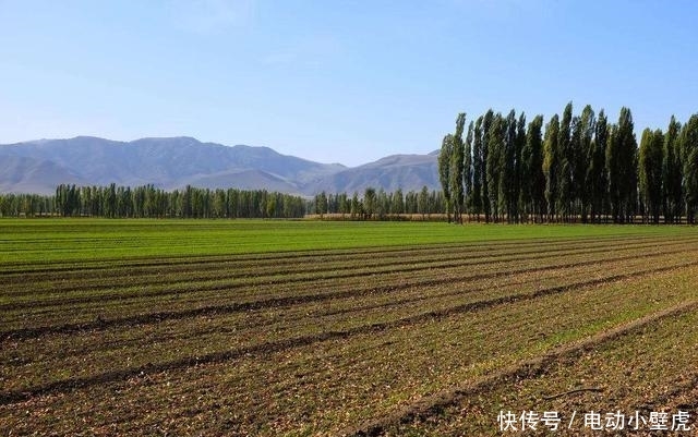  十年：农村这6样东西，10年后将会越来值钱，你认为呢？