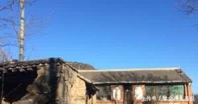 子女不是农村户口，能继承上一辈的宅基地吗