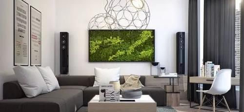  室内植物墙■墙上“种”植物，竟如此好看？