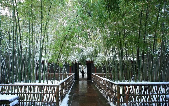 『餐桌上』靠山吃山，靠海吃海，那么宁波人的餐桌上到底有多鲜？