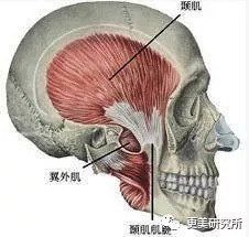 “整牙到底能不能瘦脸”终于有了权威结论，杨幂竟是被冤枉的?