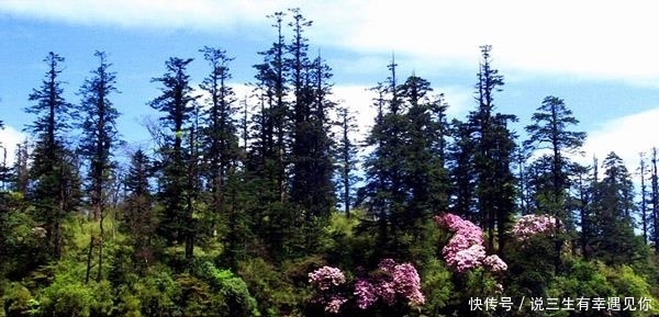 这里是中国的百慕大,神秘失踪之谜仍未解