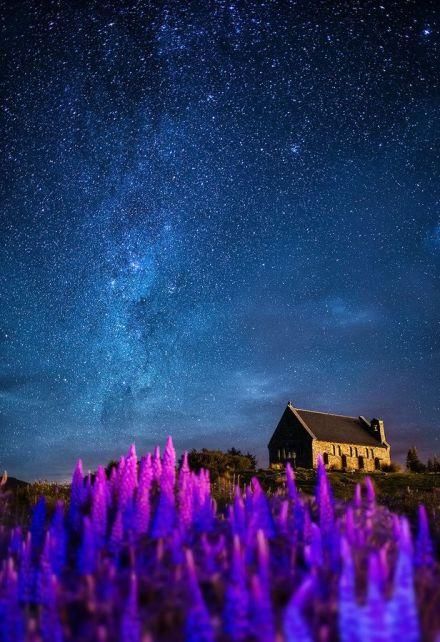 特卡波:全世界最美的星空