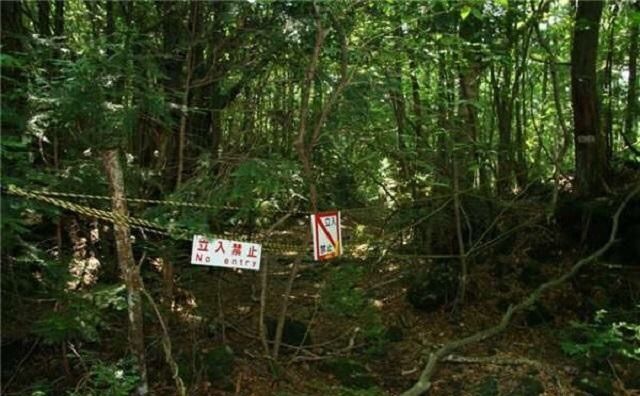 地球上最诡异的10处地方,其中三个位于日本,大