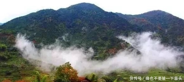 周末将至，走进青山碧水，去这片免费绿色世界吧！