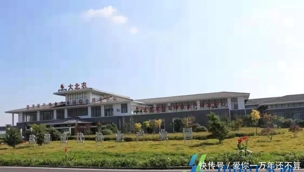  出水■“蟹王”出水！九龙口大闸蟹受到市民追捧