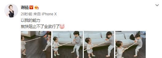  『一旁』谢楠晒俩儿子宅家日常，俩儿子在比武，吴京这个老父亲在一旁观战