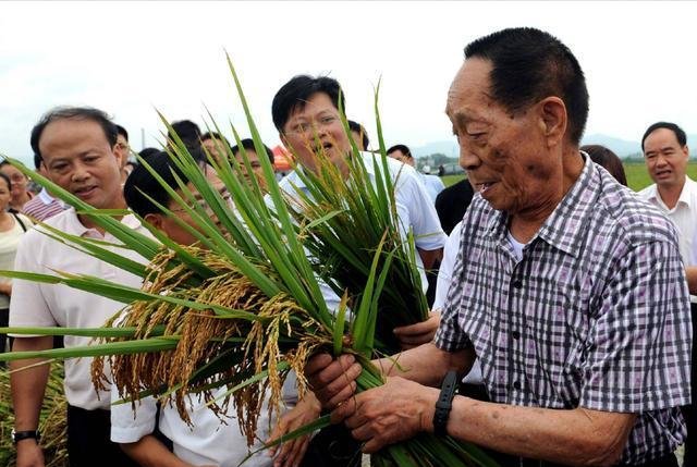  『生病』袁隆平在海南生病，长沙一位理发师，为何乘坐飞机前去为他理发