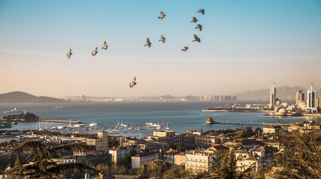 中国青岛行政区划概述