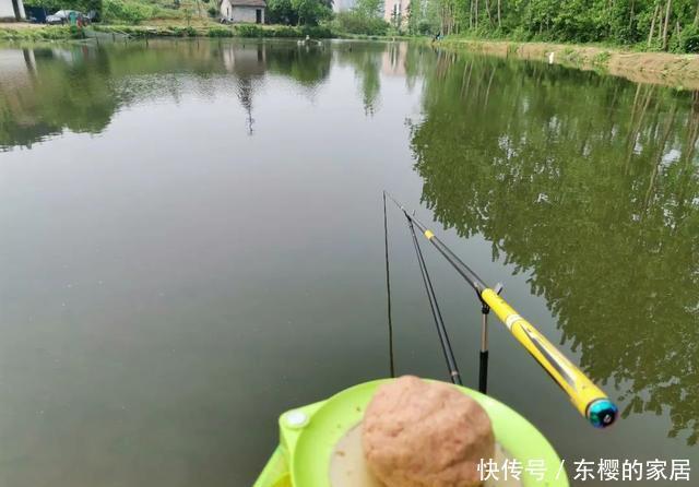 『举例』黑坑如何做窝:举例三种常见方法,分析各自优势及适用鱼情