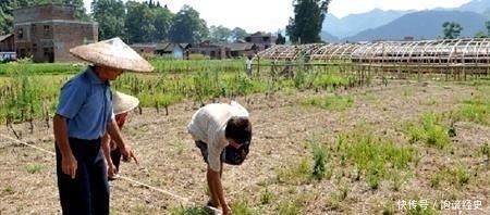  「农村土地」农村没有地的人，土地应该怎样得到啊？