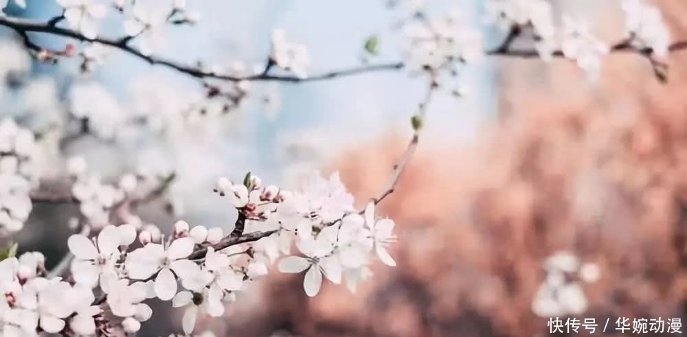 温暖|做一个温暖的人,与美好同行