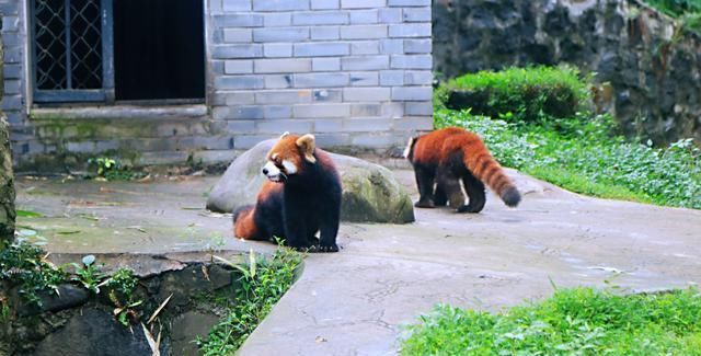 一个造福千秋万代的黄金工程，它的美与壮观始终让我心动