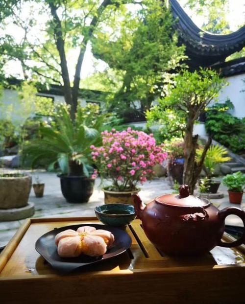  「养花」有一方小院，和你一起养花种草，这样就挺好！