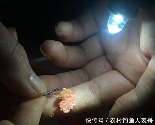 春季夜钓做好这四点，新手夜钓照样上鱼，浅谈春季夜钓的四大技巧