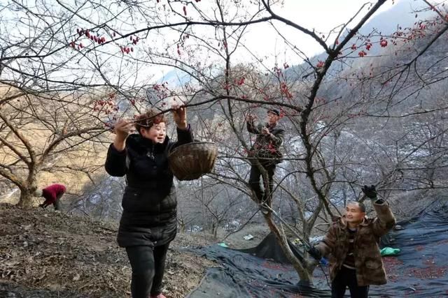 中原铁路：村民头回坐高铁
