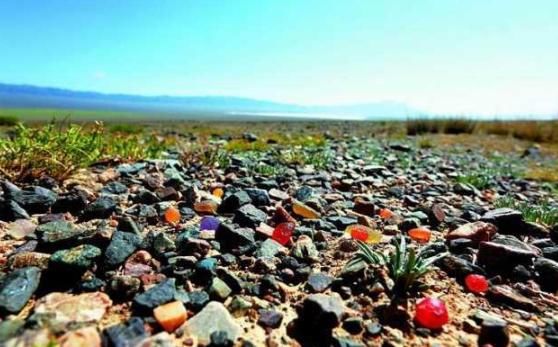 中国最大玛瑙滩绵延几十平方公里，仅用四年，就被掠夺殆尽了