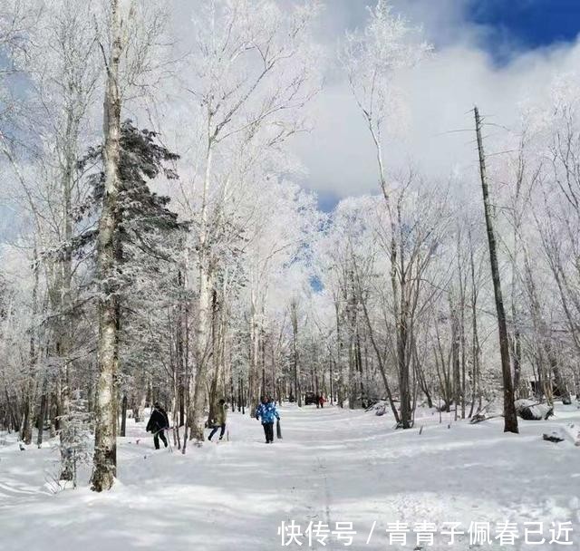 我爱雪花，爱她的洁白和美丽