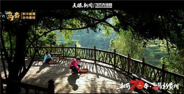 乌当:黔中秘境 林中泉城