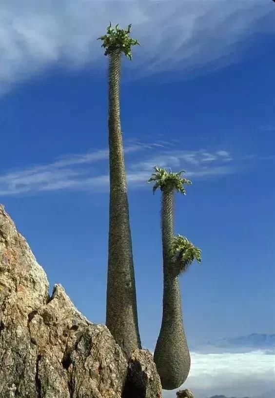 这些顶尖照片，你绝对没见过，太震撼了