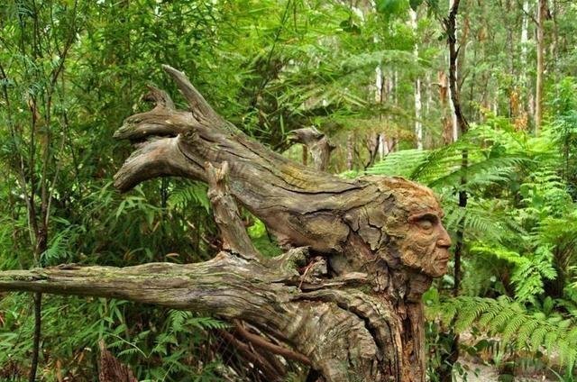 13张像ps出来的图片,却都是自然界真实存在的