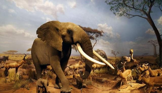 非洲最发达的国家，一个国家三个首都，被誉为彩虹之国，还有企鹅